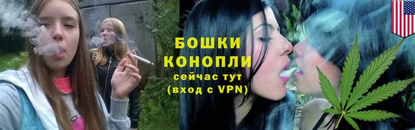 PSILOCYBIN Аркадак