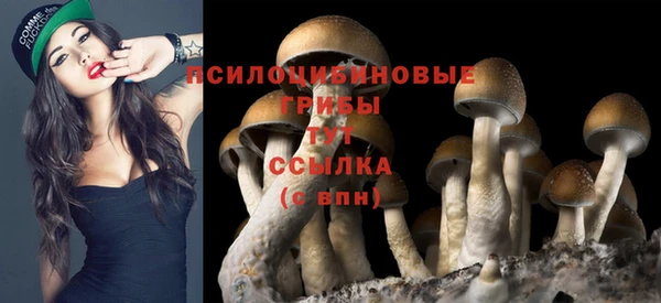 марки lsd Алексин