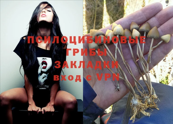 соль курить ск Алексеевка