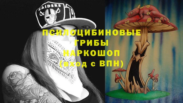 твердый Абинск