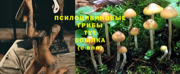 марки lsd Алексин
