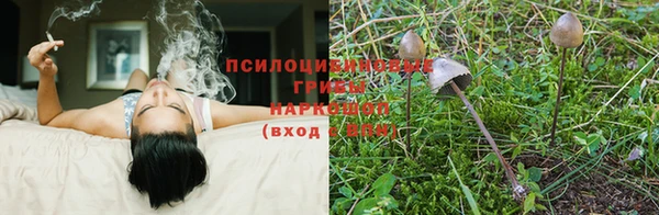 гашиш Алзамай